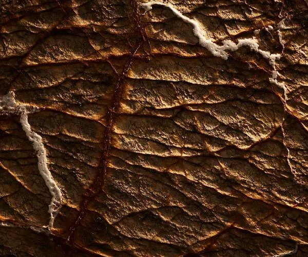 Hotell Nonam Boutique