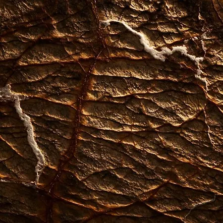 فندق Nonam Boutique